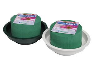 OASIS® JUNIOR OASIS® JUNIOR