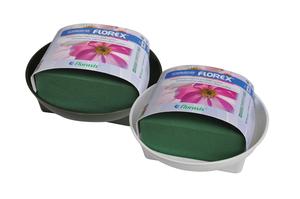 OASIS® SCHALE OASIS® SCHALE