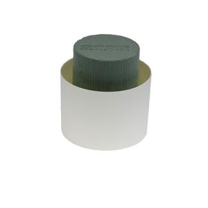 OASIS® VIVA maxi OASIS® VIVA maxi