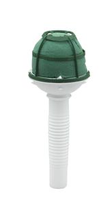 OASIS® Little Lady OASIS® Little Lady