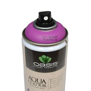 OASIS® Aqua Color Spray OASIS® Aqua Color Spray