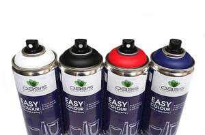 OASIS® Easy Color Spray OASIS® Easy Color Spray