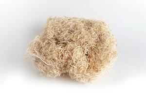 Curly mosse Curly mosse