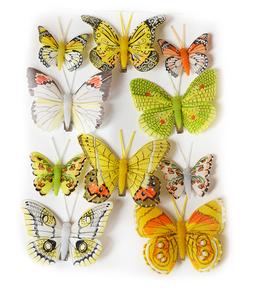 Motýle na štipci