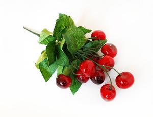 Čerešne vetvička Čerešne vetvička