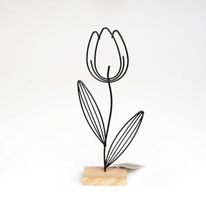 Dekoratívny tulipán Dekoratívny tulipán