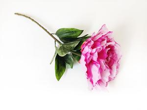 Pivoňka 63 cm fialová Pivoňka 63 cm fialová