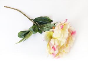 Pivoňka 63 cm žluto růžová 63 cm Pivoňka 63 cm žluto růžová 63 cm