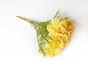 Karafiát kytice Karafiát kytice