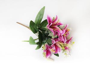 Ľalia kytica Ľalia kytica