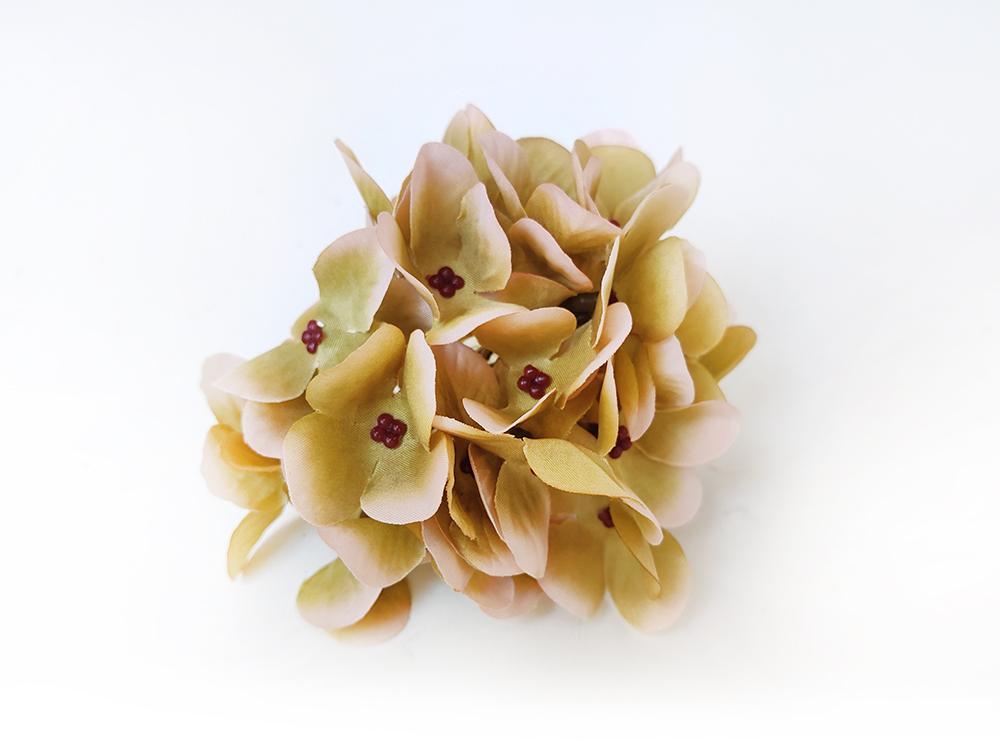 Hortenzie květ Hortenzie květ