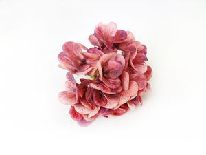 Hortenzie kvet Hortenzie kvet