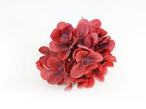 Hortenzia kvet Hortenzia kvet