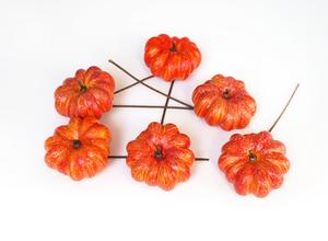 Tekvica zápich, oranžová Tekvica zápich, oranžová