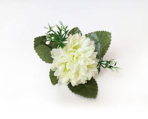 Chryzantéma kvet Chryzantéma kvet