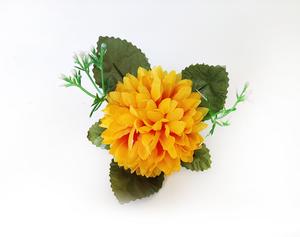 Chryzantéma kvet Chryzantéma kvet