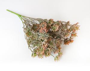 Zväzok svetlo hnedý Zväzok svetlo hnedý