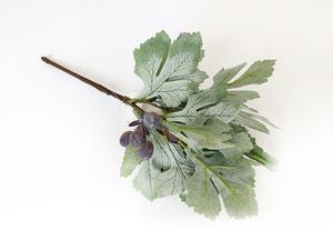 Dubová vetvička Dubová vetvička