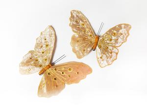 Motýľ na štipci Motýľ na štipci