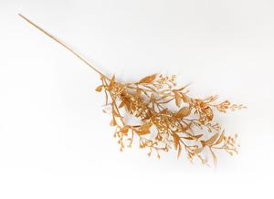 Imelo vetva Imelo vetva