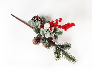 Vetvička s šiškami a bobuľkami Vetvička s šiškami a bobuľkami