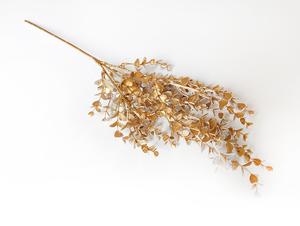 Eukalyptus vetva Eukalyptus vetva