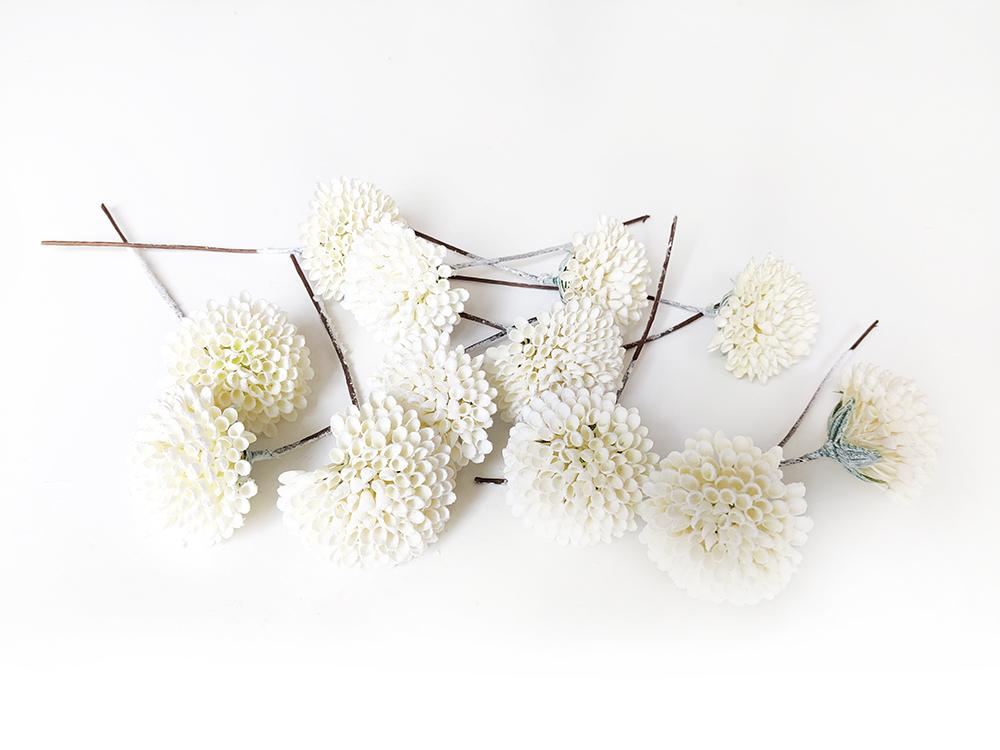 Rozchodník - Sedum Rozchodník - Sedum