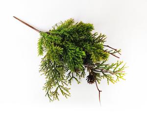 Vetvičky so šiškami Vetvičky so šiškami