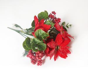 Vianočné ruže Vianočné ruže