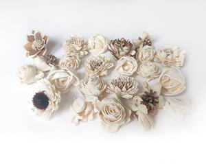 Kvety sušina Kvety sušina