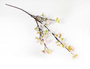 Vetvička s kvetmi Vetvička s kvetmi