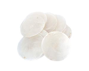 Mušle Capiz Mušle Capiz